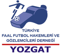 tffhgd-yozgat-futbol-yonetim-sistemi